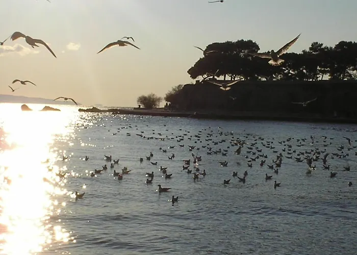 Apartment Sunny Near In