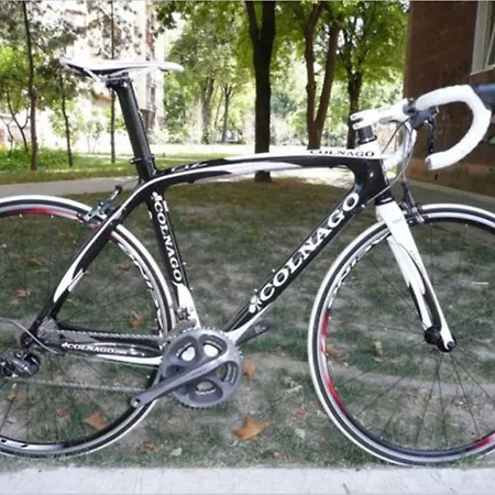 Sunny Near In Apartamento *