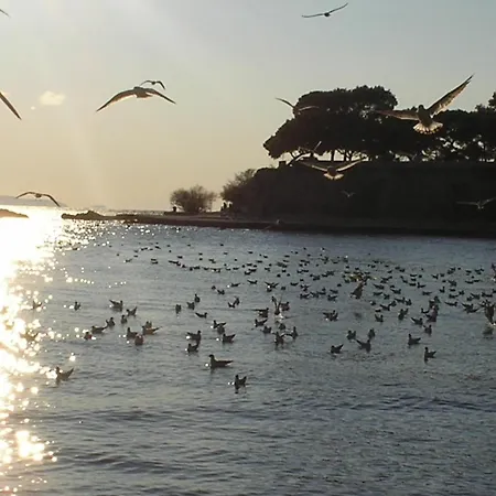 Apartment Sunny Near In